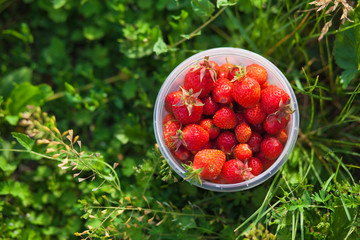 Ripe strawberry in the transparent cup in the village