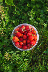 Ripe strawberry in the transparent cup in the village