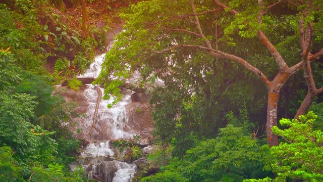 White water roars down a hillside in a broad, rocky waterfall with large, deadfall logs spanning its cours and large trees on both sides.