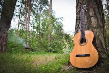 Guitar near a tree in the forest on the background of the barbecue. Summer Camping - Powered by Adobe