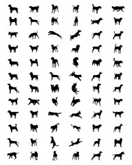 Black silhouettes of different breeds of dogs, vector