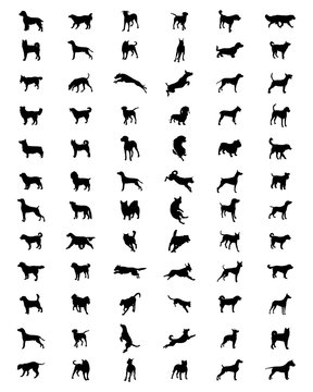 Black silhouettes of different breeds of dogs, vector