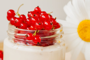 Natural yogurt with red currant and muesli