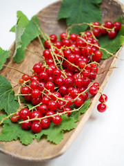 Fresh red currant