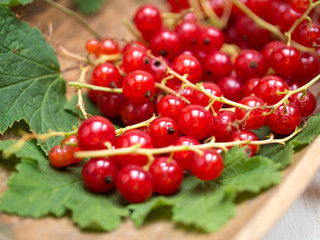 Fresh red currant