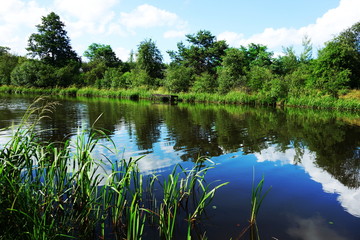 Calm riverside landscape, summer season. Water, trees and thicket. Sielpia resort, Poland.