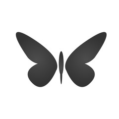 Butterfly icon. Simple flat logo of butterfly on white background. Vector illustration.