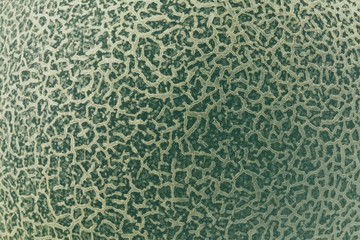 Melon skin texture with the soft background