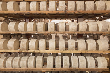 Rows of fermenting cheese