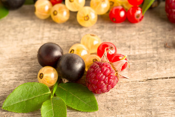 blueberry raspberry currant berries