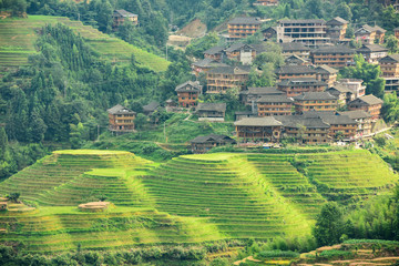 Fototapeta na wymiar Rice terrace in Guilin China