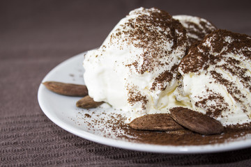 Vanilla ice cream