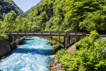 Landscape in Abkhazia with stone bridge over river