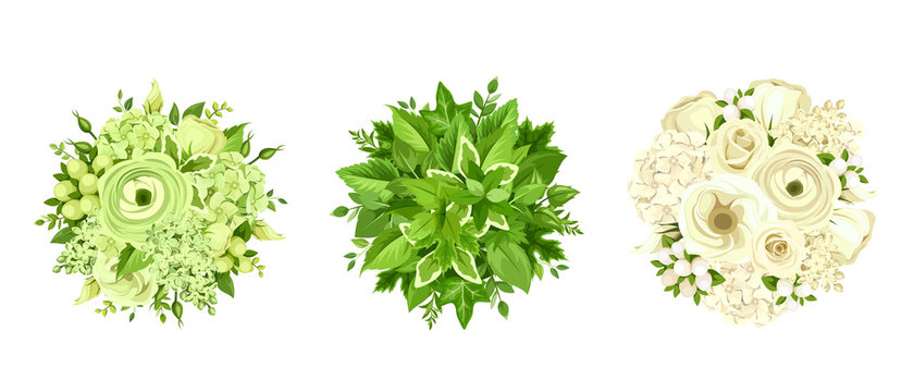 Vector set of three green and white flowers and leaves ball bouquets isolated on a white background.