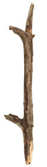 Obraz premium Tree stick