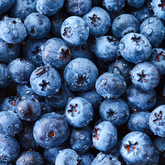 Blueberry with drops of water