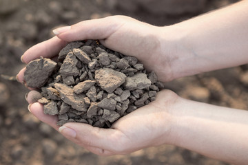 Soil that could give us life