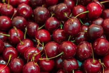 Ripe red cherries in the market on the counter