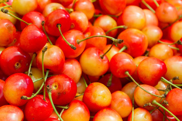 Ripe colored sweet cherries in the market on the counter
