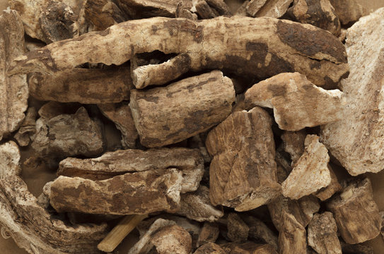 Organic dry barks of Indian Jalap or Nishodh (Operculina turpethum). Macro close up background texture. Top view.