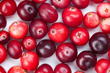 Wild cranberry color variation. Red, ripe cranberries macro view. copy space. up view