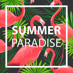 Vector Illustration of an Abstract Summer Design Template with Flamingos