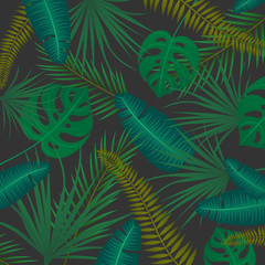 Vector Illustration of an Abstract Background with Tropical Leaves