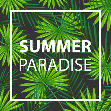 Vector Illustration of an Abstract Summer Design with Tropical Leaves