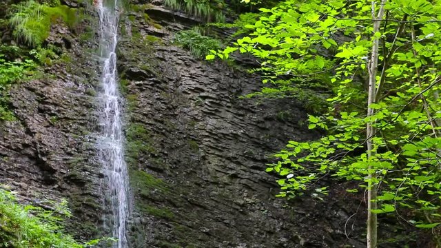 Waterfall in alpine forest over Partnach Gorge or Partnachklamm. Falls is a scenic location and nature attraction in Germany near Garmisch Paterkirchen.