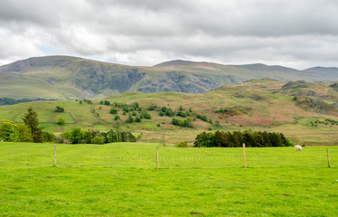 Obraz premium Countryside landscape view of England