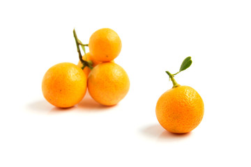 Orange Kumquat placed on white background
