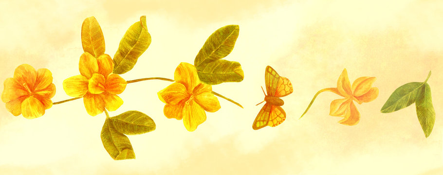 Seamless watercolor border of yellow forsynthia flowers with butterflies