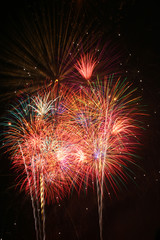 Celebration fireworks. Fireworks light up the sky.