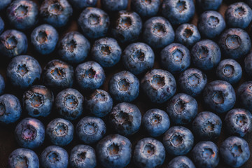 Background of blueberry