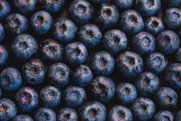 Background of blueberry