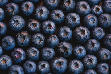 Background of blueberry
