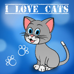 Love Cats Shows Pet Loved And Heart
