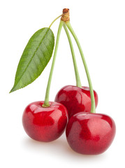 cherry