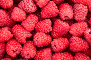 raspberry