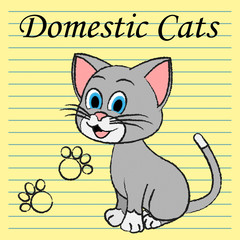 Domestic Cats Shows Family Kitty And Pedigree