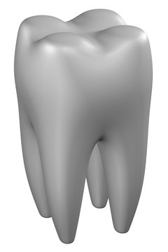 Human tooth. 3D rendering.