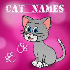 Cat Names Represents Pedigree Feline And Kitten