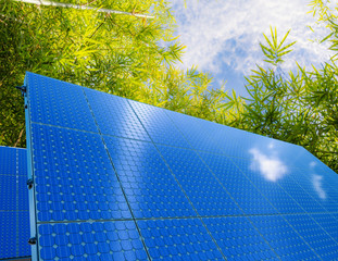 solar panel 