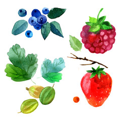 Watercolor summer set. illustration with strawberries, raspberries, blueberries, gooseberries and leaves. Summer template. hipster background. Berry set