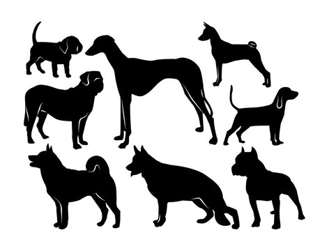 black silhouettes of dogs on a white background