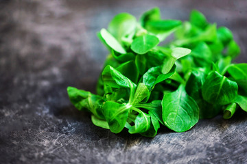Fresh salad leaves over black background or table.