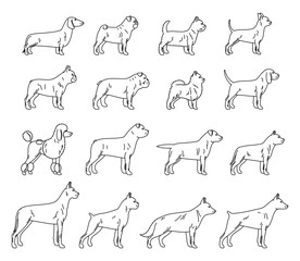Vector dog thin line icons collection isolated on white