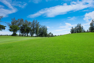 Landscapes Wide green lawns, golf courses.