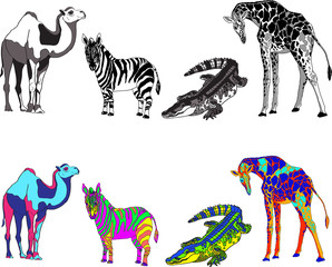 illustration with the image of zebra, giraffe, crocodile and camel, made black, white and bright different colors
