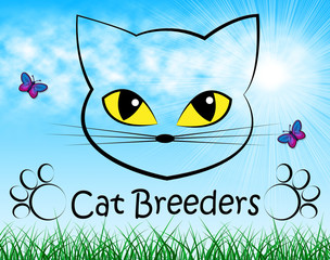 Cat Breeders Shows Breeds Pet And Bred